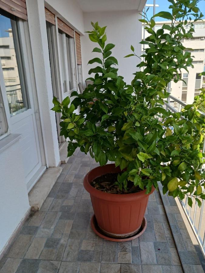Room With Private Toilet And Terrace In City Center In Shared Apartment スプリト エクステリア 写真